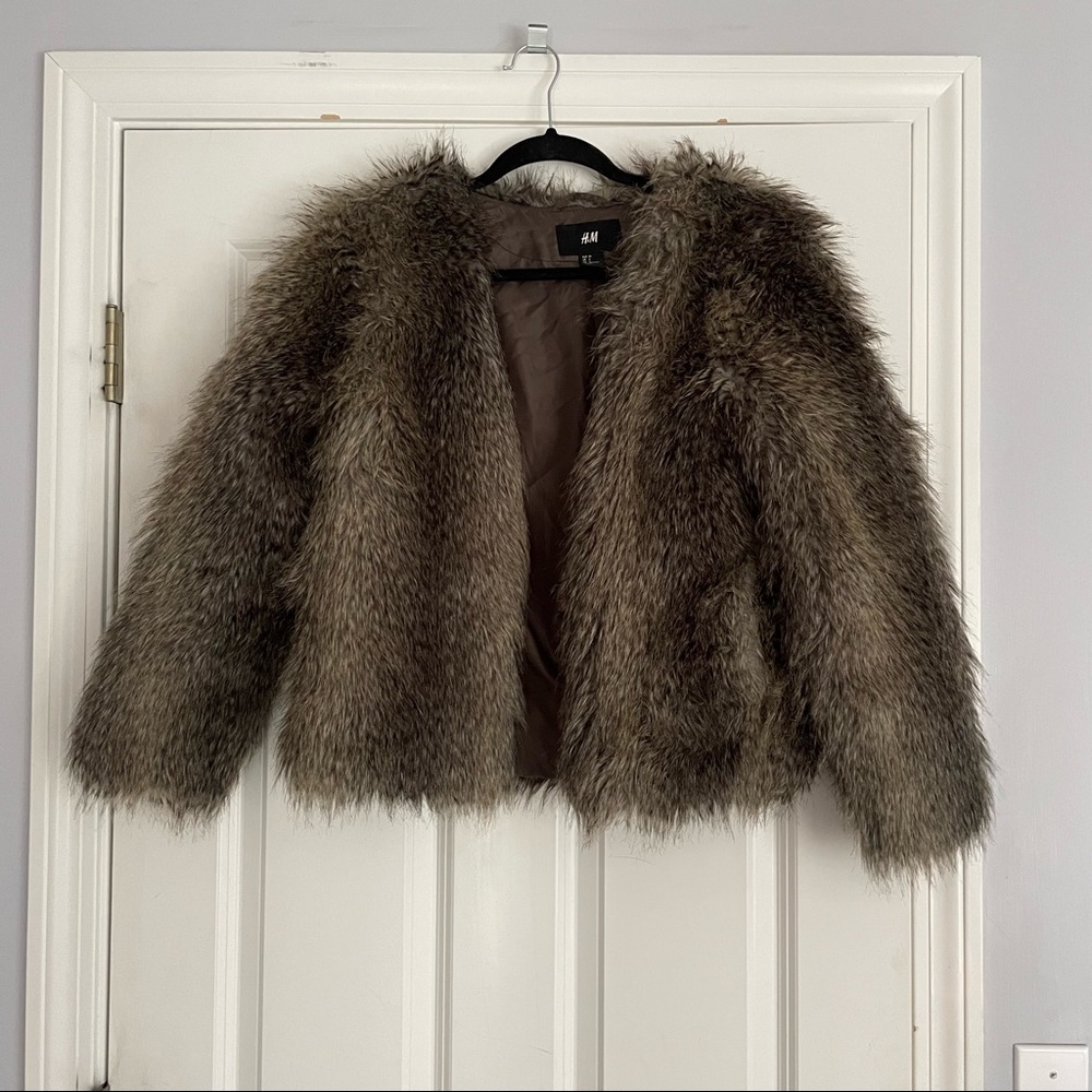 h&m faux fur coat